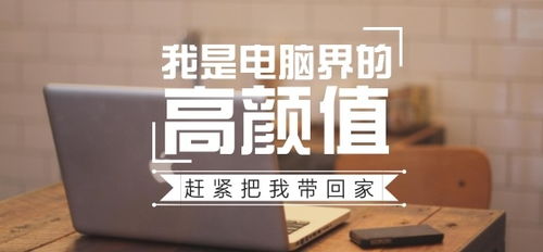 文字排版 图文设计 广告banner 中英字体结合排版 文字设计 图形图案排版