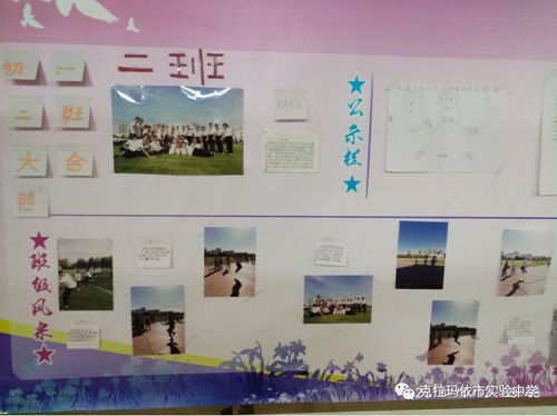 小小展板 精彩无限 初一分校开展第一期展板评比活动